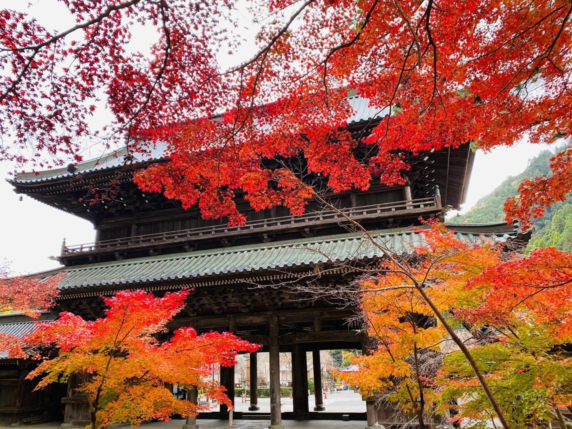Ryokan Tanakaya Minobu Exterior foto