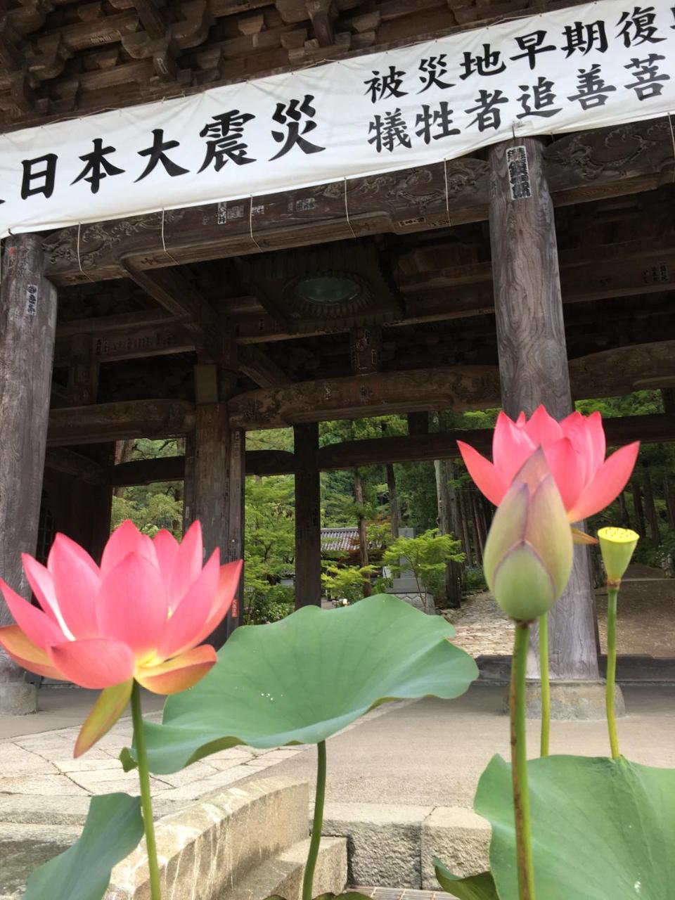 Ryokan Tanakaya Minobu Exterior foto