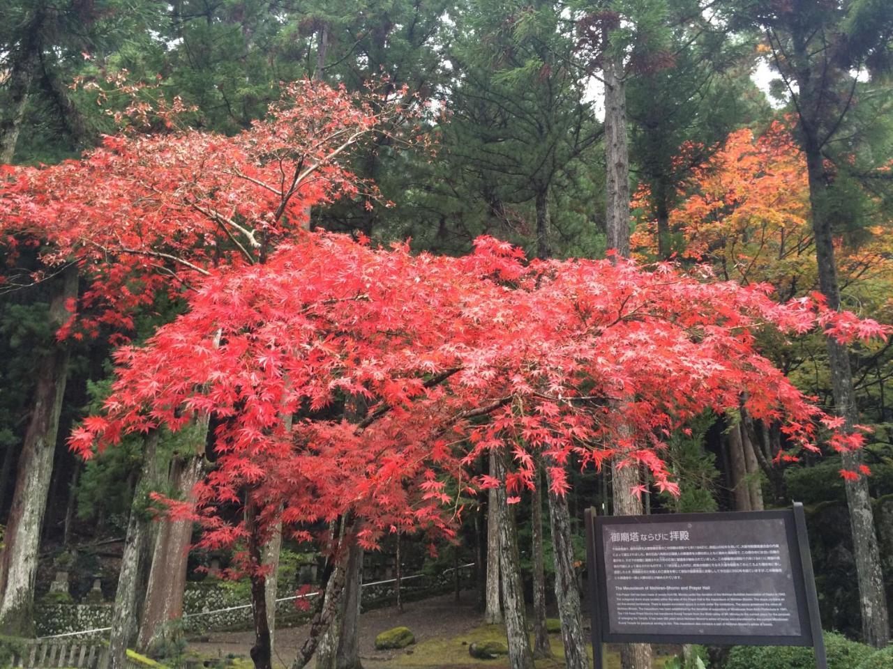 Ryokan Tanakaya Minobu Exterior foto